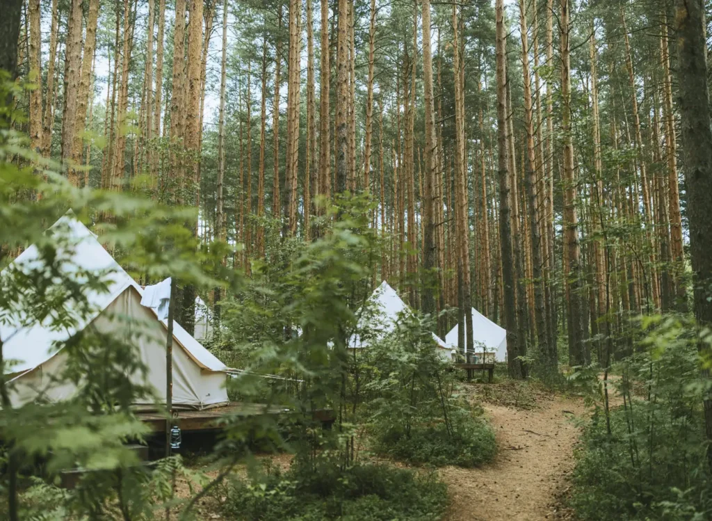 Camping w lesie - Nordic Healing